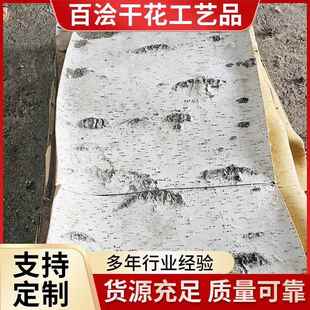 天然白桦树皮白桦树皮家居装饰DIY花材道具摄影背景桦树皮