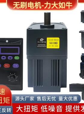 直流无刷可调速电动机接交流220V小微型永磁变速齿轮减速马达大扭