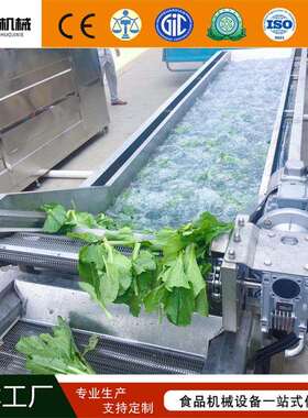 全自动果气泡清洗机预蔬制菜加工LHA流水线净菜生清成洗套产设备