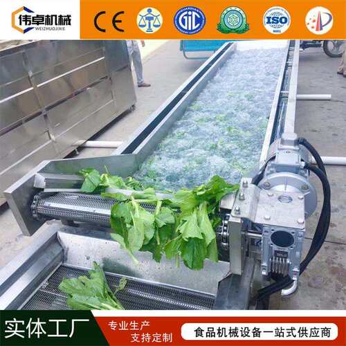 全动自果蔬气泡清EIP洗预制菜加工流水线净菜套生产清洗成机设备