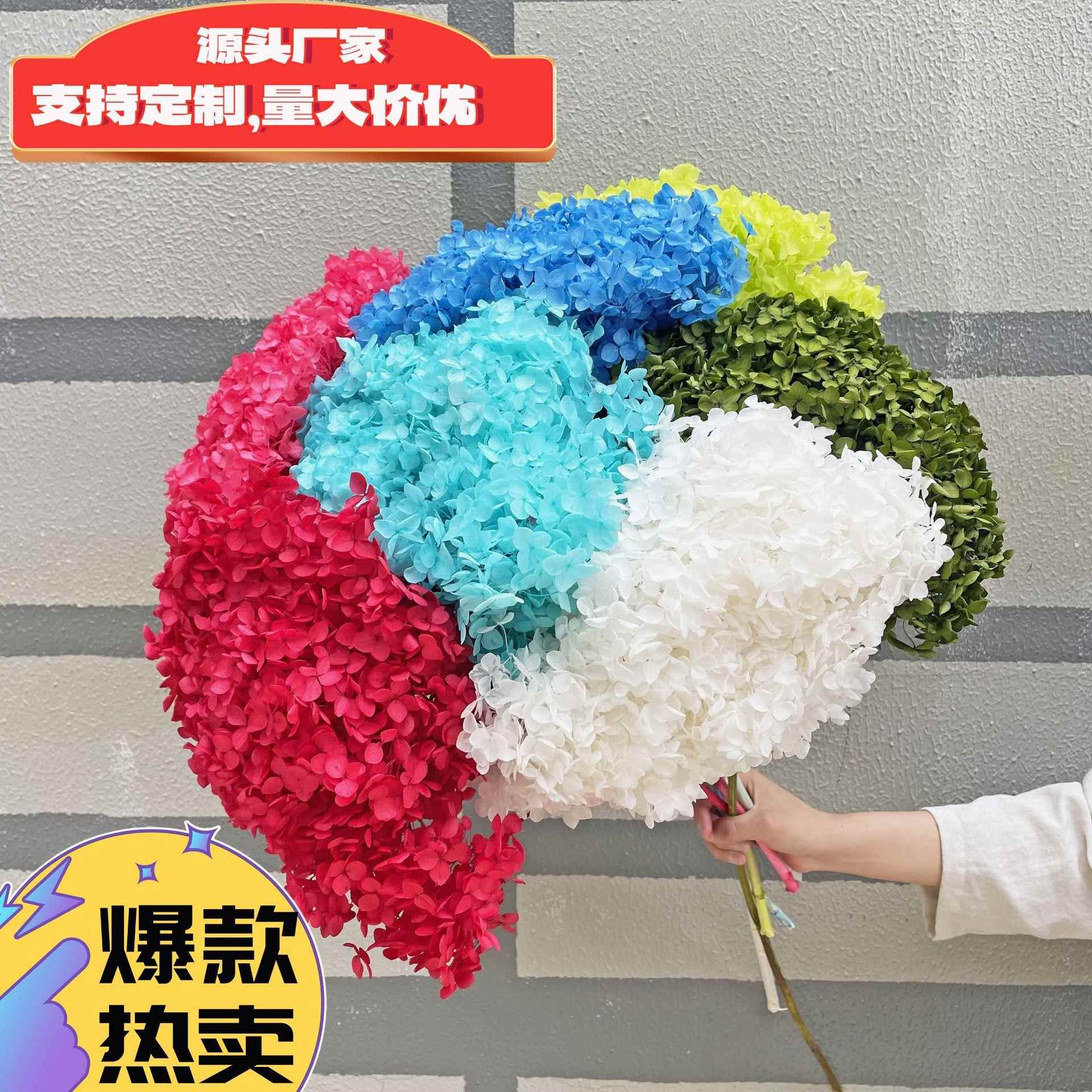 永生花单支安娜绣球安娜小叶绣球安娜贝拉绣球40色现货