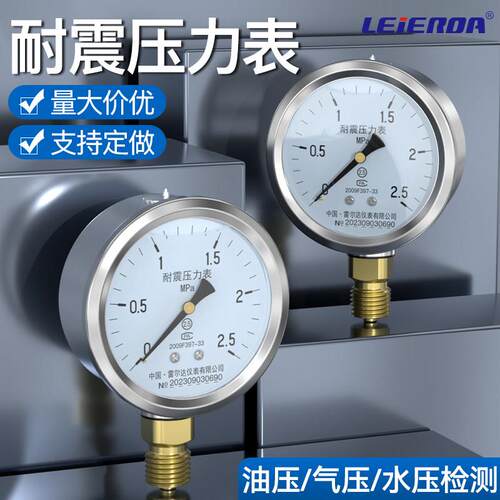 雷尔达仪表YN60/100mm径向耐震压力表空气压液压水压负压真空表