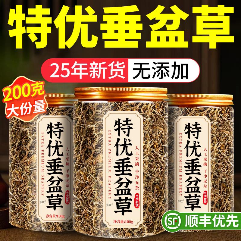 垂盆草中中药材的功效与作用野生养肝护肝茶草药正品官方旗舰店xl