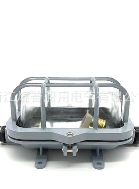 船用白炽舱顶灯60w CCD2-1-2 白炽舱顶灯 792101 792102