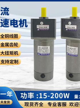 DM微型直流光轴电机12V24V90V180V单相齿轮减速机马达现货