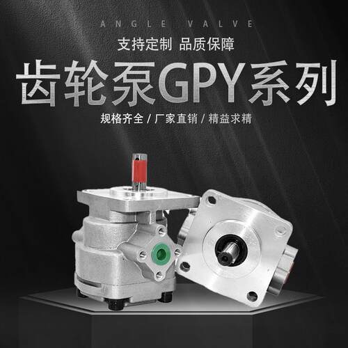 液压齿轮泵GPY-F4R/6R/8R/9R/10R/11.5R低噪音定量高压油泵