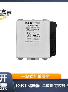 170M5388 170M5398 快速熔断器 保险丝 电子元器件 量大价优