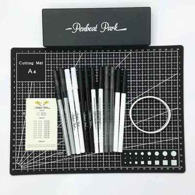 penbeat专用笔练习笔新手套餐礼包 BIC比克圆珠笔套餐