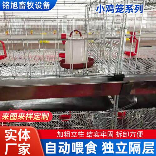 自动化养鸡设备层叠式育雏笼阶梯式蛋鸡笼多层雏鸡笼小鸡笼
