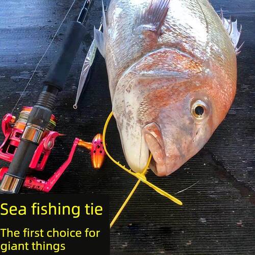 一次性加厚海钓分类带塑料密封鱼标防盗锁货物物流捆绑带