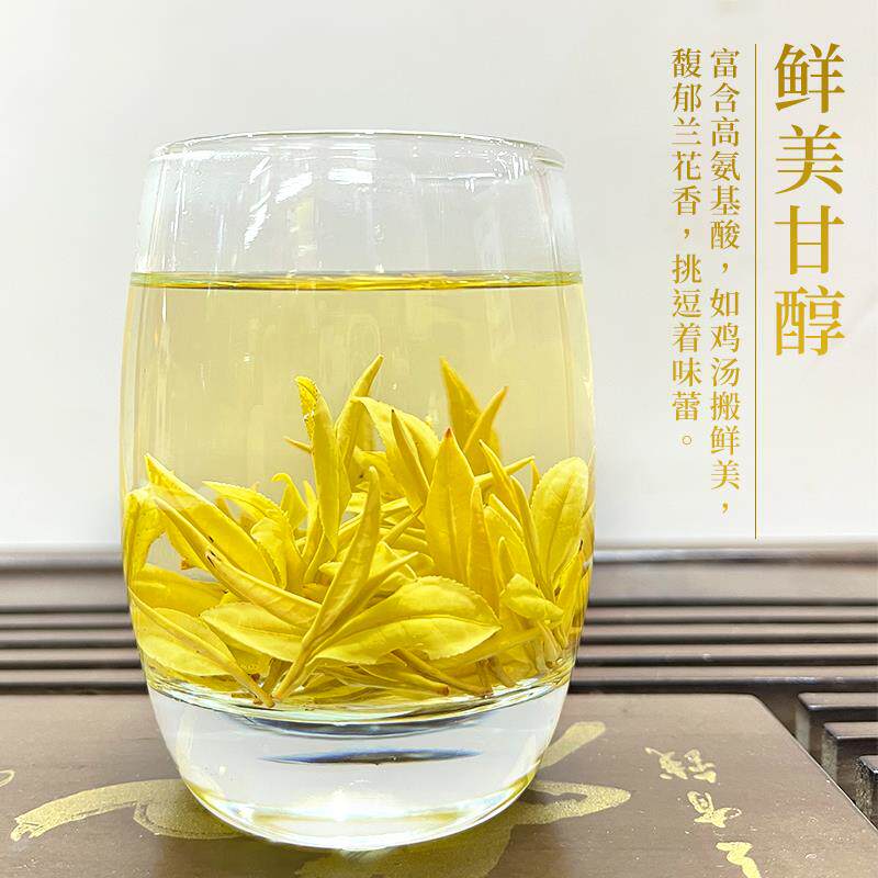 正宗黄金芽茶叶2024年新茶白茶正宗浙江黄金茶叶不是安吉产地绿茶
