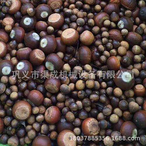 安徽苦槠子剥壳机全自动择子籽去皮脱壳分离机苦槠果剥壳机收获机