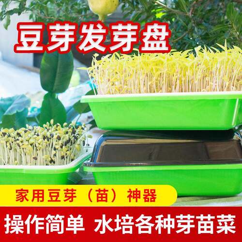 拉车套罩豆芽盘发芽盆水培蔬菜种植神器育苗黄绿黑豆芽苗菜托盘泡