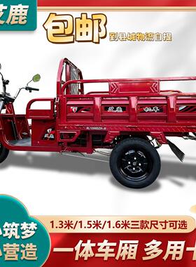 新电动车拉FWK货货车载重三王农用大功率成人家用载货可轮上牌工