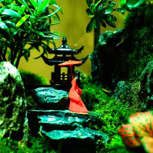 杜鹃植生物态桌面创意盆栽好无品牌/养盆摆件景观苔藓办亭公室造