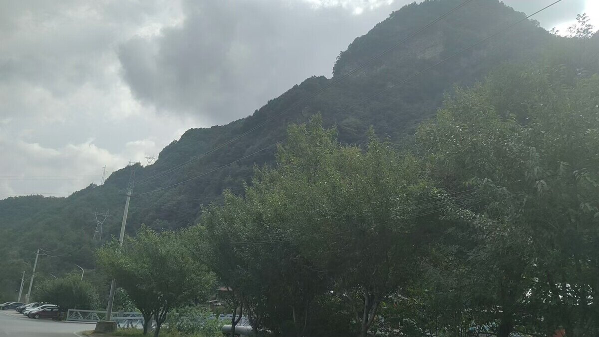 8、渭南市华州区金堆镇石可居委会娃娃沟、黄田沟两处林权