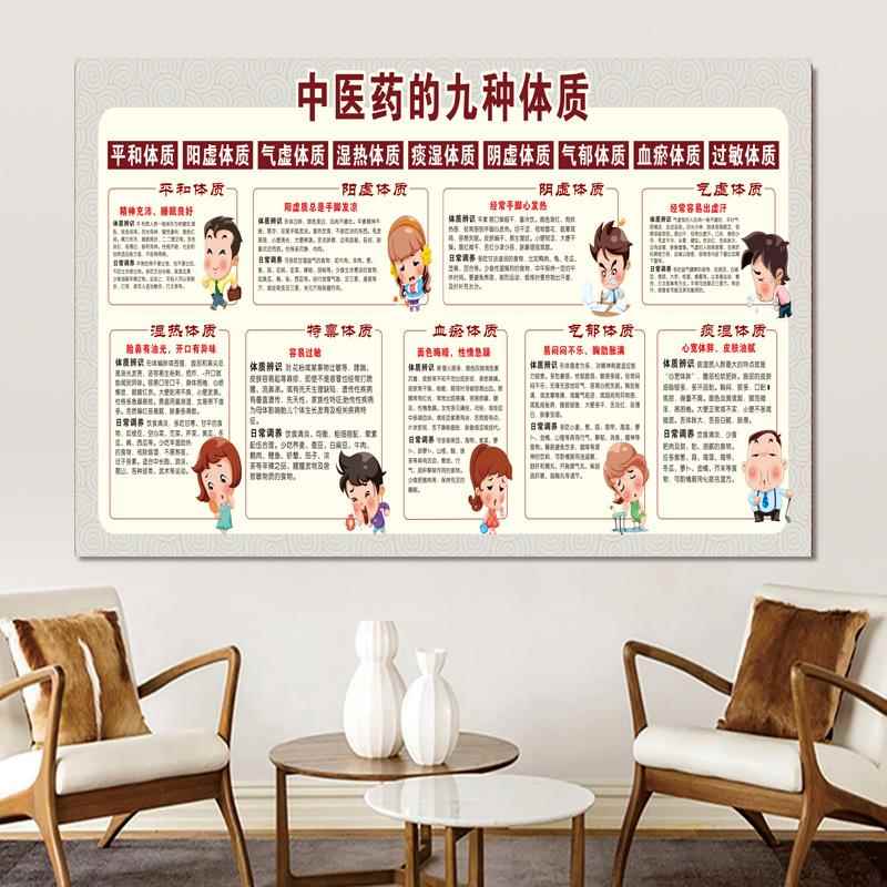 人体九种体质分类对应症状及疾病中医9种海报宣传挂图养生医海报