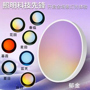 天境灯全光谱色域动态护眼书房多彩色卧室晴空吸顶灯APP控制 新款
