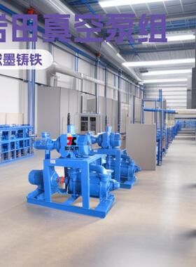 JZJ2BA水环罗茨真空泵机组原料和白水除气系统真空脱水机真空机组