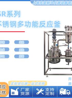 东玺仪器不锈钢多功能反应釜浓缩结晶合成萃取搅拌反应釜化学实验