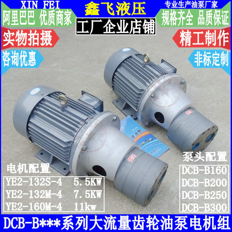 LWBZ-CB-B160JZ B200JZ B250JZ B300JZ DCB大流量齿轮泵电机组