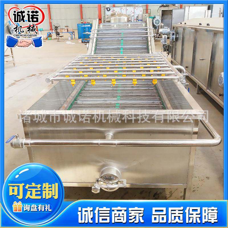 厂家供应喷淋式洗菜机 全自动无花果果蔬清洗机 食堂气泡清洗机