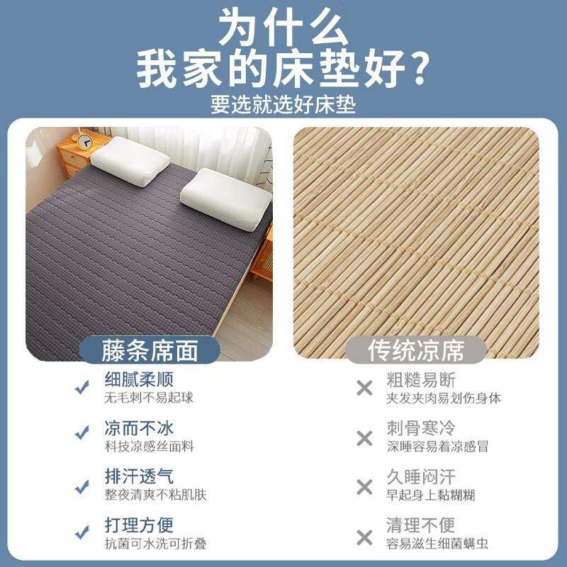 打学生单人宿舍床垫多功能冰藤席针织棉垫子双面四季两用2025新款