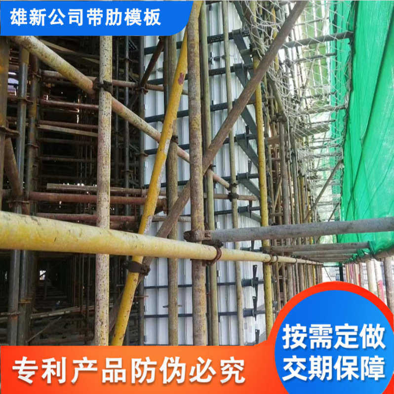 石家庄雄新装配式带肋塑料模板方柱模板方便拆卸建筑工程模板批发