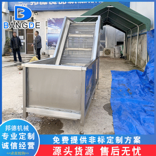 厂家供应净菜设备 多功能果蔬气泡清洗机 自动喷淋式花生机器