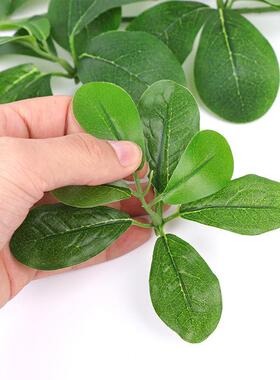 仿真树叶榕树叶树枝假叶子绿色植物塑料假树室内装饰福禄桐