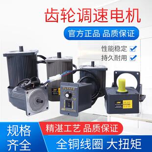 250 750W调速马达单相交流微型齿轮减速电机220V小型 OPG欧邦