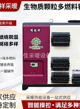 生物质颗粒锅炉燃煤质两用蒸汽大棚燃烧热能发生器高效蒸气换热