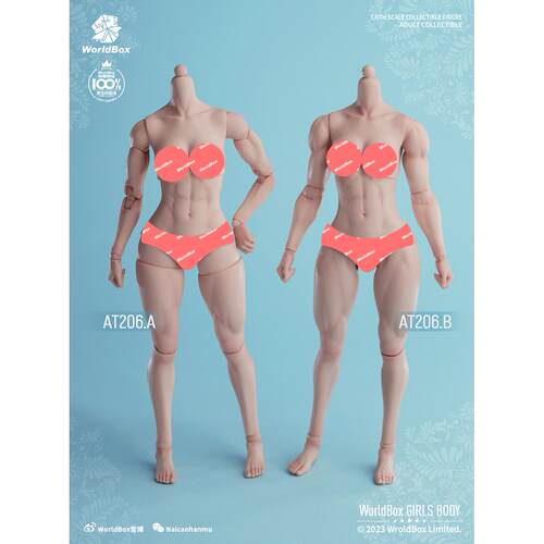 现货 WorldBox  1/6 女素体  AT206 肌肉版 关节可动人偶兵人模型