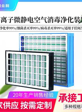 空气净化模块静电集尘器 中央空调净化装置 IFD 微静电杀菌消毒