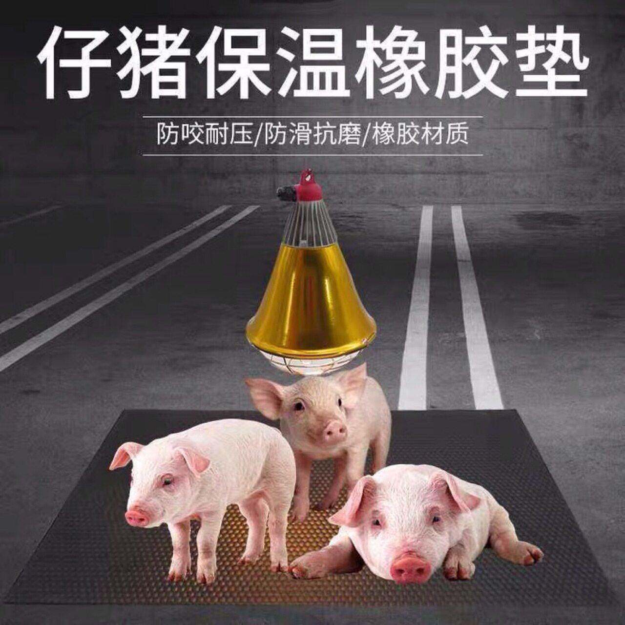 猪保温橡胶垫伢猪保温橡胶垫保育床橡胶垫牛棚垫猪床用品