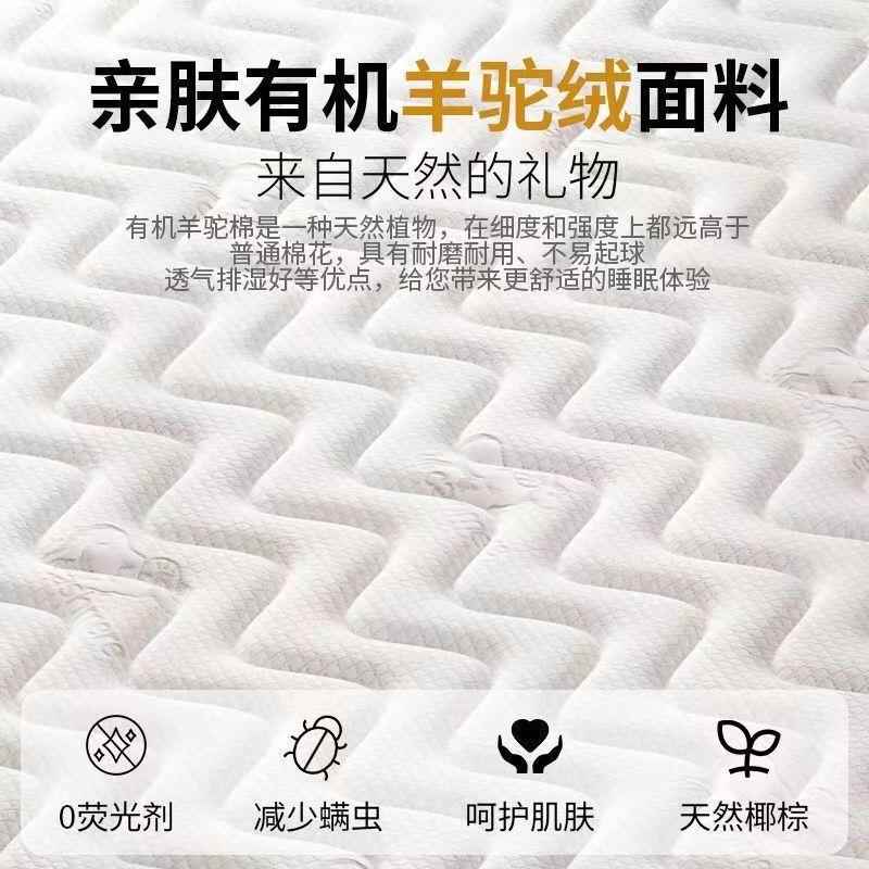 榻榻米床定作尺专寸定作乳胶椰棕塌塌CSG米垫子软卧垫家用垫室用