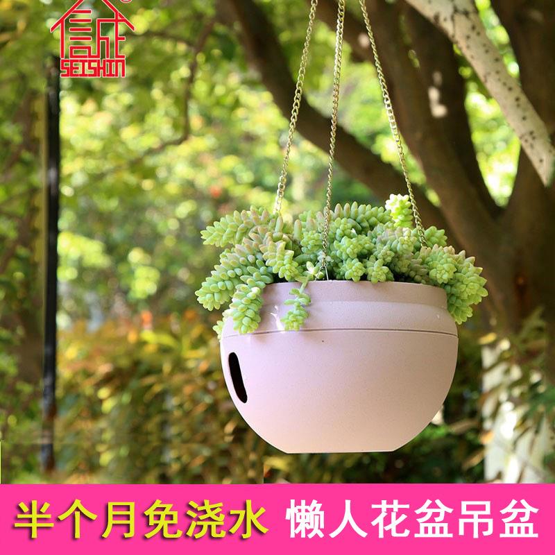 厂家吊兰盆挂盆吊篮盆塑料懒人自吸水花盆垂吊绿萝吊盆悬挂花盆