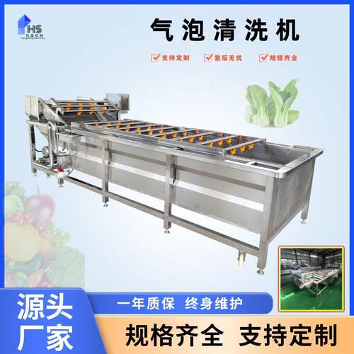 全自动果蔬气泡清洗机豆角莴苣高压喷淋清洗线芦笋气泡清洗机