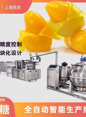 24800-SE-300J软糖全自动生产线 糖果浇注成型设备 果糖机