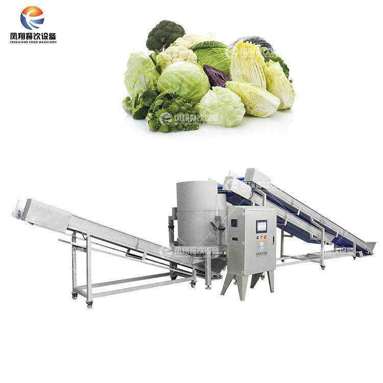 工厂直销蔬菜连续式脱水机大型商用叶菜类旋转离心式甩干沥水机