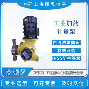 LMI机械隔膜计量泵GB系列双隔膜泵头大流量电动污水加药泵