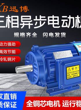 厂家直销2.2W2极纯铜380V高效电机2800转速高效马达三相电机