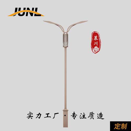 路灯厂家定制LED臂双臂双头头双挑市电路灯道路照明灯路灯杆