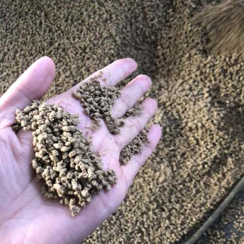 鲜肉制作机器 多功能宠物饲料膨化机 狗粮猫粮机厂家