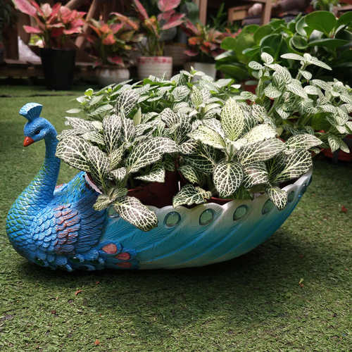 精致孔雀花盆栽多肉 大号韩式创意盆器 多肉植物花盆个性创意花盆