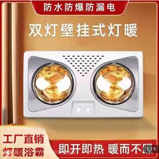 灯暖浴霸免打孔双灯泡暖风机卫生间浴室取暖灯 花花工厂甄选壁挂式