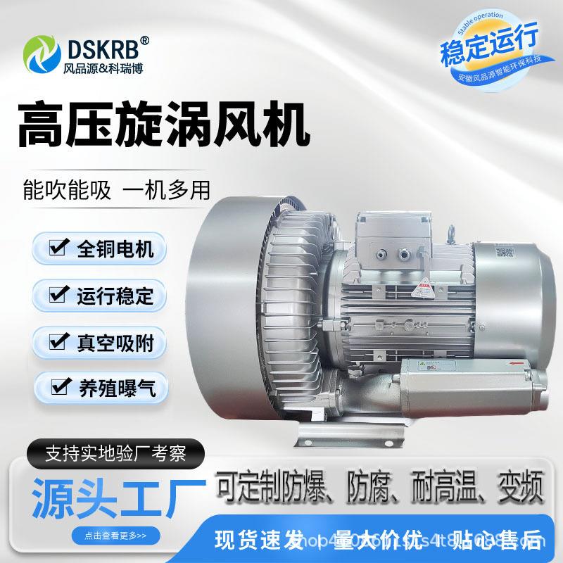 真空吸附双段漩涡气泵11KW臭氧输送曝气防腐双叶轮高压鼓风机