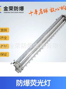 防爆荧光灯 吸顶式单管电厂防爆双管荧光灯 BPY led 机床照明灯