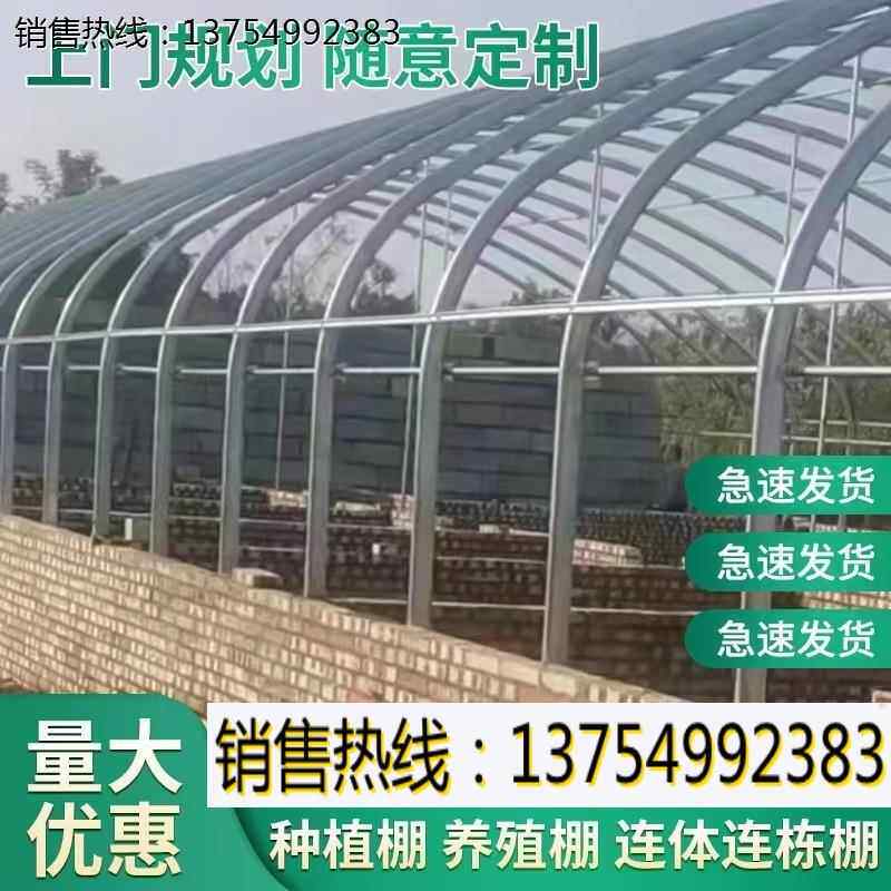 定制大棚骨架钢管温室养殖大棚蔬菜大棚连体连栋种植棚热镀锌全套