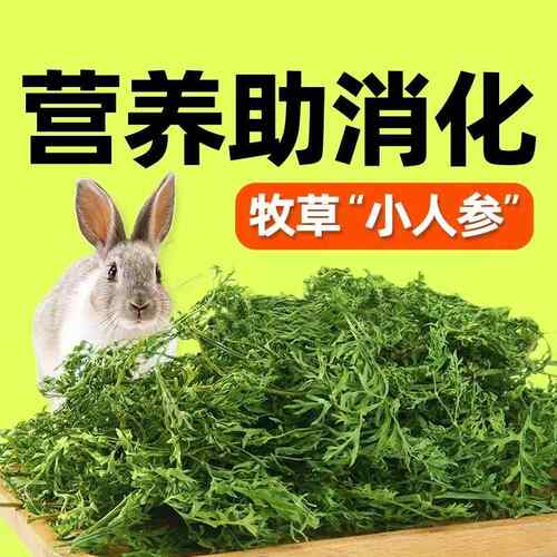 兔兔用干草饲料 牧氏胡萝卜樱干叶 龙猫豚鼠牧草粮